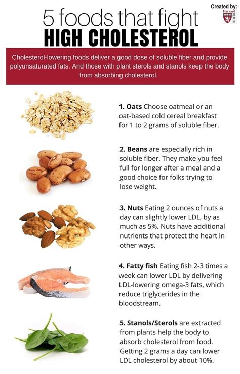 You might be wondering why should i follow some hard diets to lose my weight and i can get to lower my cholesterol by taking. 5 Foods that fight HIGH CHOLESTEROL! | Cholesterol foods, Low cholesterol diet, High cholesterol ...