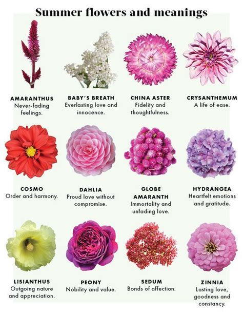 The Meaning Of Flowers By Urban Botanicals Flower Meanings Summer