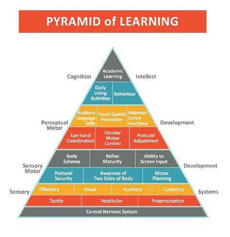 The Pyramid Of Learning Sensory Integration Sensory Integration