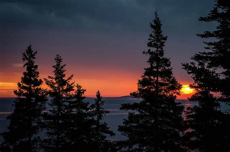 Pine Tree Sunrise Photograph By Jd Fielding Pixels