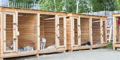 Concrete Dog Kennels Guide Plans Cleaning Pros Cons And Faq