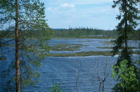 Visit World Finland Lake Wallpaper