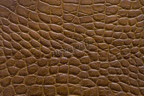 Snakeskin Leather Pickawall