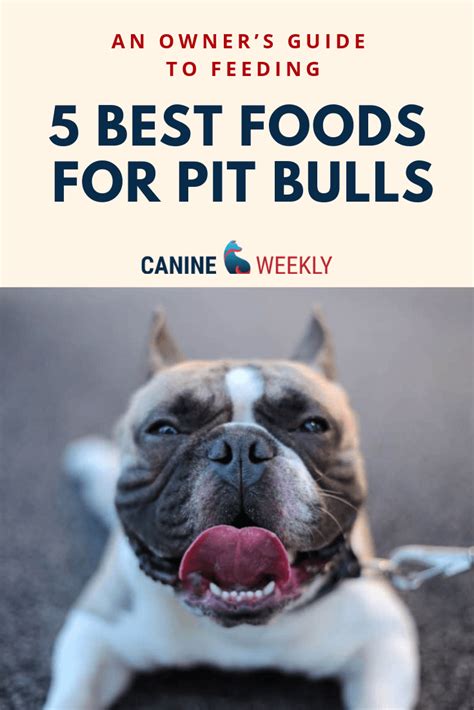 Acana singles range acana singles range is the best limited ingredient dog food for your pup. The Best Dog Food for Pitbulls in 2020 (Adults and Puppies ...
