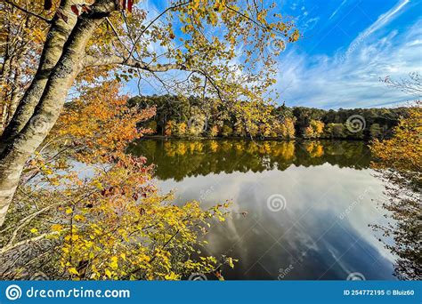 Autumn Foliage Shines Around Georgia Lake Against Cobalt Blue Sky Stock