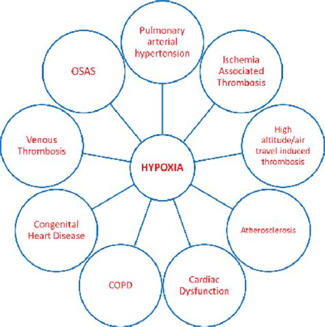 Commonly Known Cvds With Pathophysiology As A Function Of Hypoxia