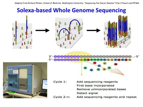 Ppt Next Generation Sequencing An Overview Powerpoint Presentation