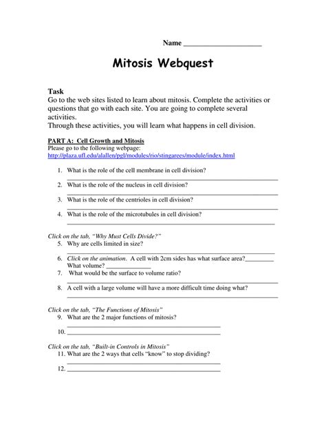 The meiotic cell cycle will result in four daughter cells that are distinct in genetic components. Mitosis Webquest Answer Key | Newatvs.Info
