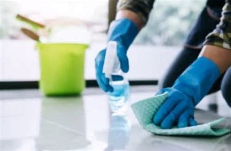 Cómo desinfectar tu hogar con productos naturales y evitar los químicos
