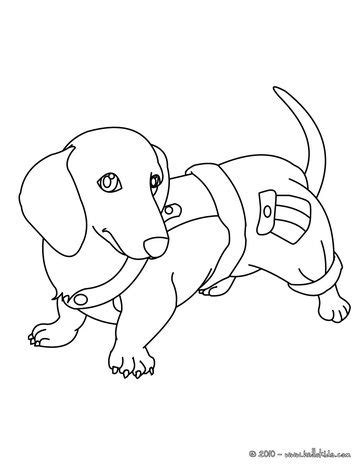 Coloring page outline of cute puppy. DOG coloring pages - Dachshund Puppy | Dog coloring page, Dog drawing for kids, Puppy coloring pages