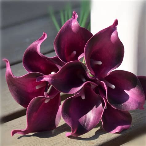 Coral Center Picasso Calla Lilies Real Touch Flowers For Wedding