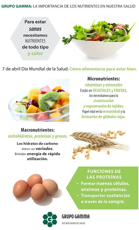La Importancia De Los Macro Nutrientes Y Los Micronutrientes Salud Y 097