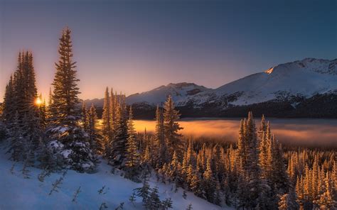 Nature Landscape Winter Sunrise Mist Mountains Forest Snow Trees