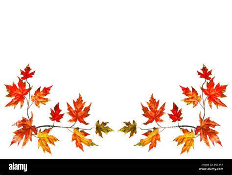 Bottom Border With Red Fall Maple Leaves Stock Photo Alamy
