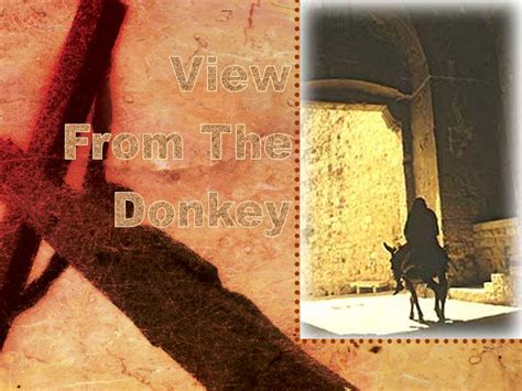 View From The Donkey Triumphal Entry Hosanna Palm Sunday Jesus