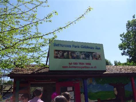 Battersea Park Childrens Zoo Лондон лучшие советы перед посещением