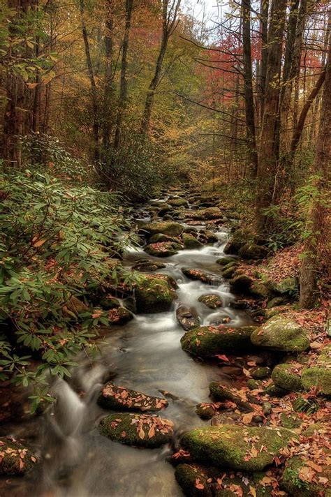 October Flowing Through The Smokies By Mike Eingle Autumn Scenery