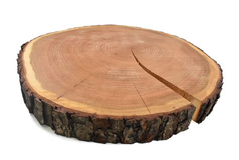 Rustic Live Edge Large Round Wood Cuttingserving Board