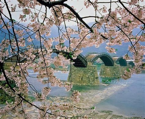 Kintaikyo Bridge The Symbol Of Iwakuni Japan Places To Go Wonders