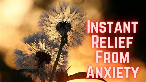 Instant Relief From Anxiety And Stress Peaceful Meditation Music Youtube