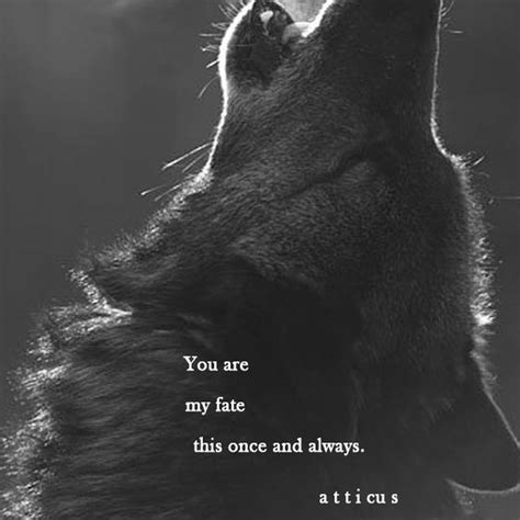 See This Instagram Photo By Atticuspoetry 7650 Likes Wolf Quotes