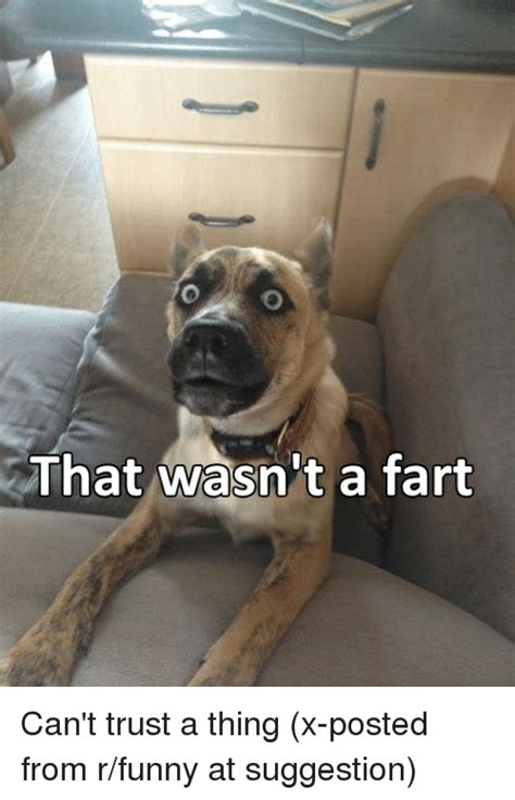 That Wasnt A Fart Cant Trust A Thing X Posted From Rfunny At