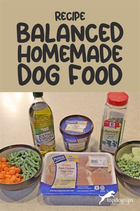 Recipe Balanced Homemade Dog Food Raw Dog Food Recipes Dog Food