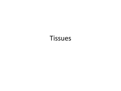Ppt Tissues Powerpoint Presentation Free Download Id296512