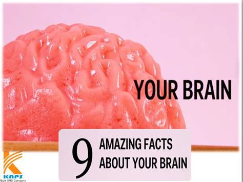 9 Facts About The Brain That Will Blow Your Mind Brain Facts Blow