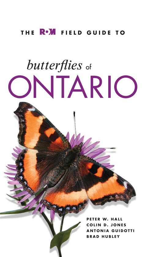 A selection of work that i did for volo's guide to monsters, a new 5th edition dungeons and dragons book. ROM Field Guide to Butterflies of Ontario | Royal Ontario Museum