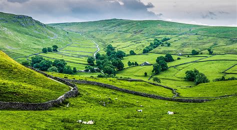 Royalty Free Photo Green Grass Field Pickpik