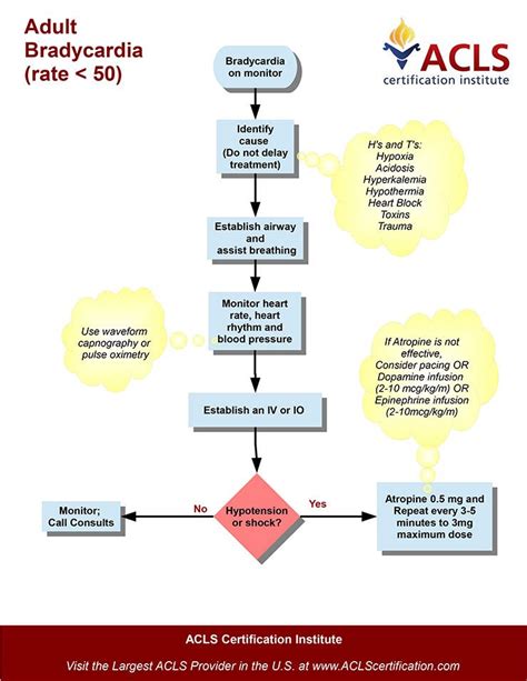 Acute Adult Bradycardia With Pulse Algorithm By The Acls