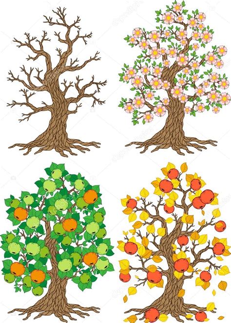 Vector Apple Tree Tree Season Autumn Winter Summer Spring — Stock