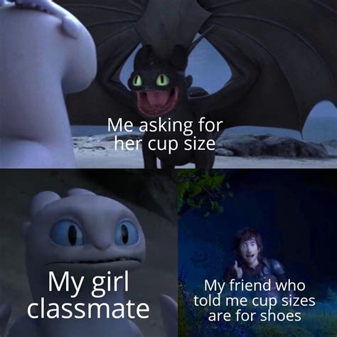 29 Funny Toothless Memes That Ll Help You Train Your Dragon Funny