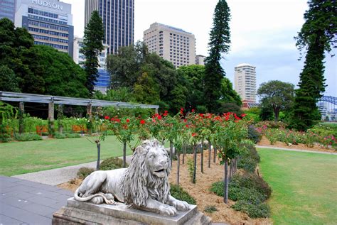 Mille Fiori Favoriti The Royal Botanical Gardens Sydney Australia