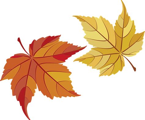 Maple Fall Leaves Svg