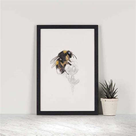 Bumblebee Print By Ben Rothery Illustrator