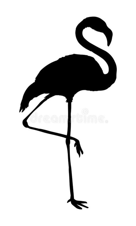 Flamingo Vector Illustration Black Silhouette Royalty Free Illustration