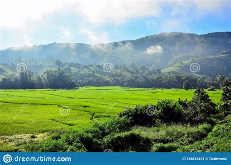 Green Fields Surrounded By Mountains Trees And Fog Chiangmai Northen