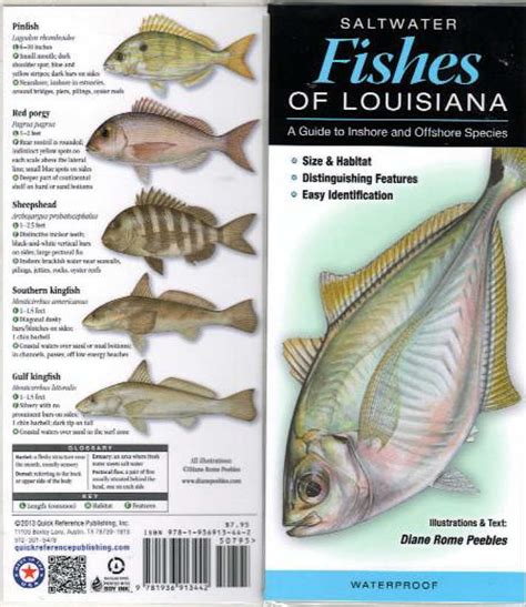 Fish Identification Guides Reef Fish Identificationguidesslates And