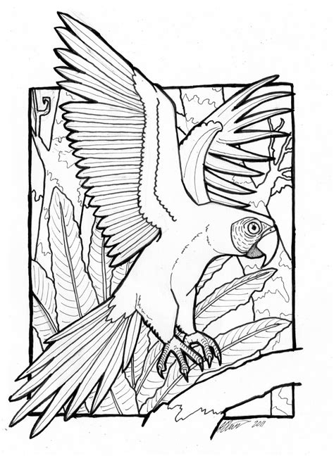 The Daily Art Of Lemurkat Macaw Colouring Page