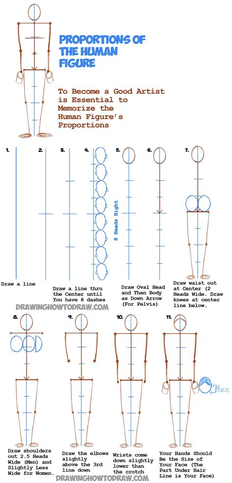 Learn How To Draw Human Figures In Correct Proportions By Memorizing