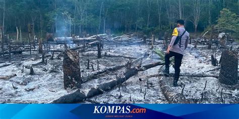 Greenpeace Juta Hektar Lahan Terbakar Dalam Karhutla