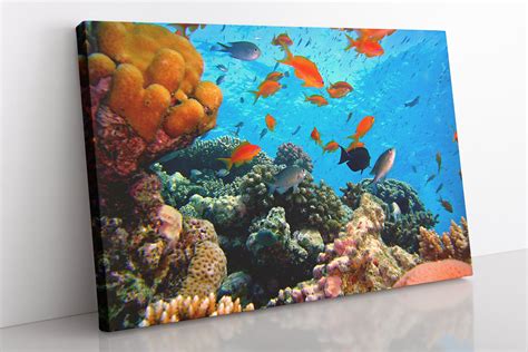 Coral Reef Canvas Wall Art Large Framed Ocean Print Home Etsy