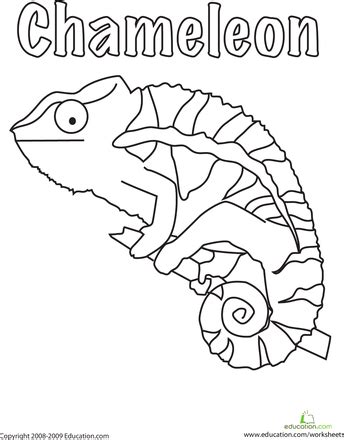 ^^ would it be ok if i used this lineart to make an adoptable? Color the Chameleon! | Coloring pages, Rainforest crafts ...