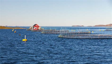 Norwegian Fish Farm For Salmon Growing Stock Image Image Of Buoy