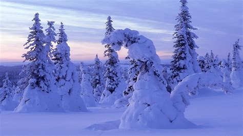 Snow World Forest Finland Winter Landscapes 1920x1080 Wallpaper High
