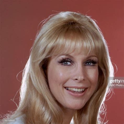 pin by pamela longwell sylvia on barbara eden barbara eden i dream of jeannie barbara