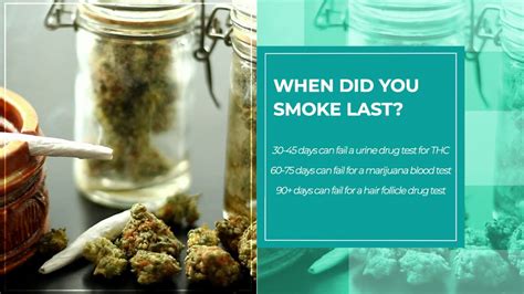 A person's kidneys process when shrooms are in a person's system, how long they can remain detectable in drug tests can also vary widely. How long does Marijuana Stay in Your System? - Maryjiguana