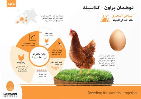 النشرات علمية نظام المساكن البديلة Lohmann Breeders